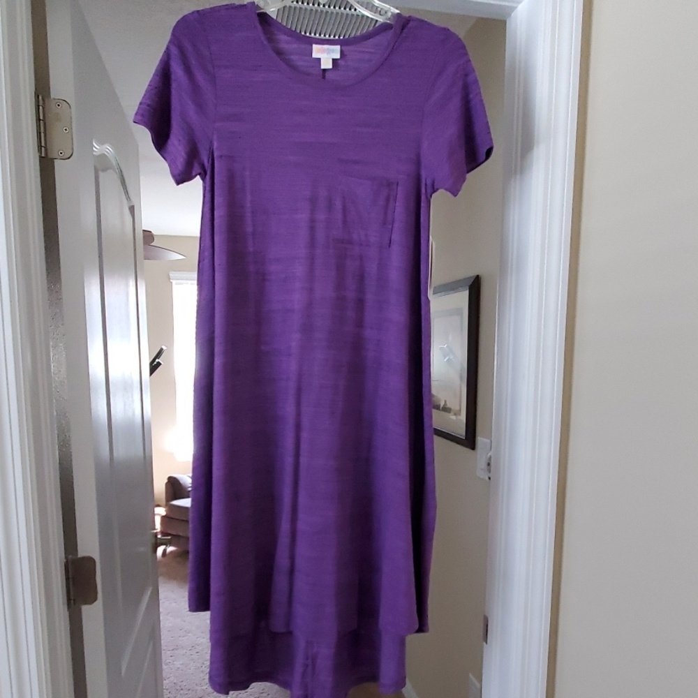 LulaRoe Carly Dress